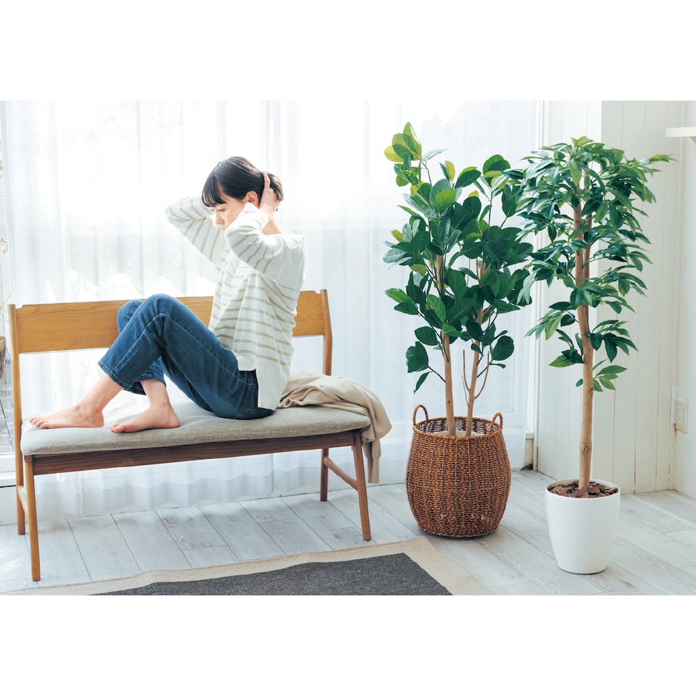 ※鉢カバーは別売です