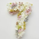 ７