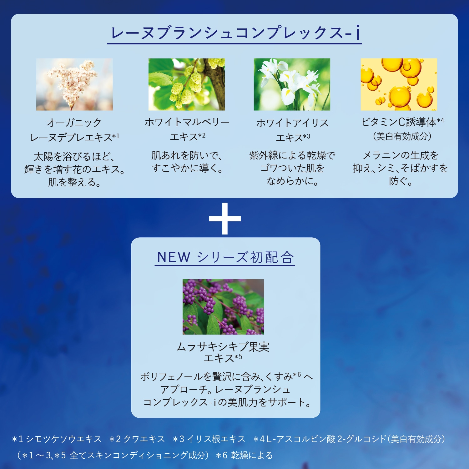 最新品安い L'OCCITANE - ロクシタン レーヌブランシュ ターゲティッド