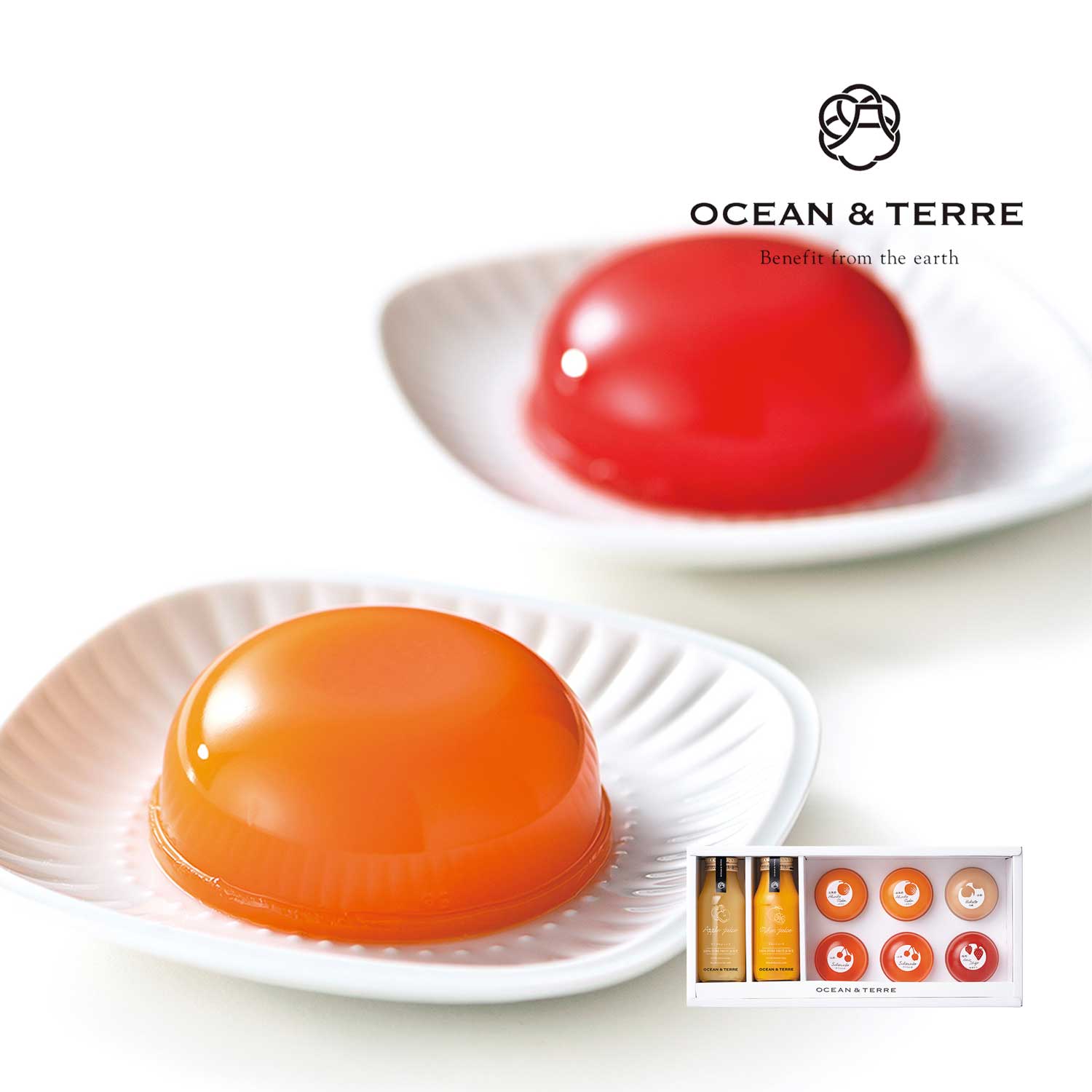 【オーシャン & テール/OCEAN & TERRE】【送料無料】 フルーツジュース & ゼリー8点セット
