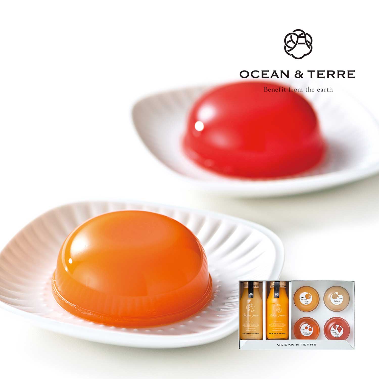 【オーシャン & テール/OCEAN & TERRE】フルーツジュース & ゼリー6点セット
