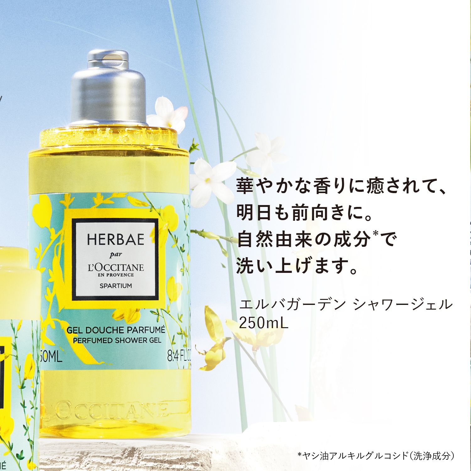 ロクシタン HERBAE シャワージェル 50ml - ボディソープ