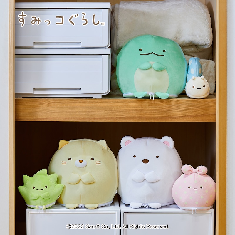 使用イメージ