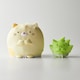 ねこ＆ざっそう