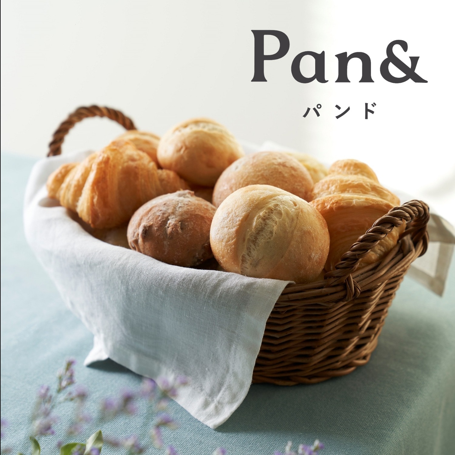 【Pan & 】Pan & バラエティ5種セット画像