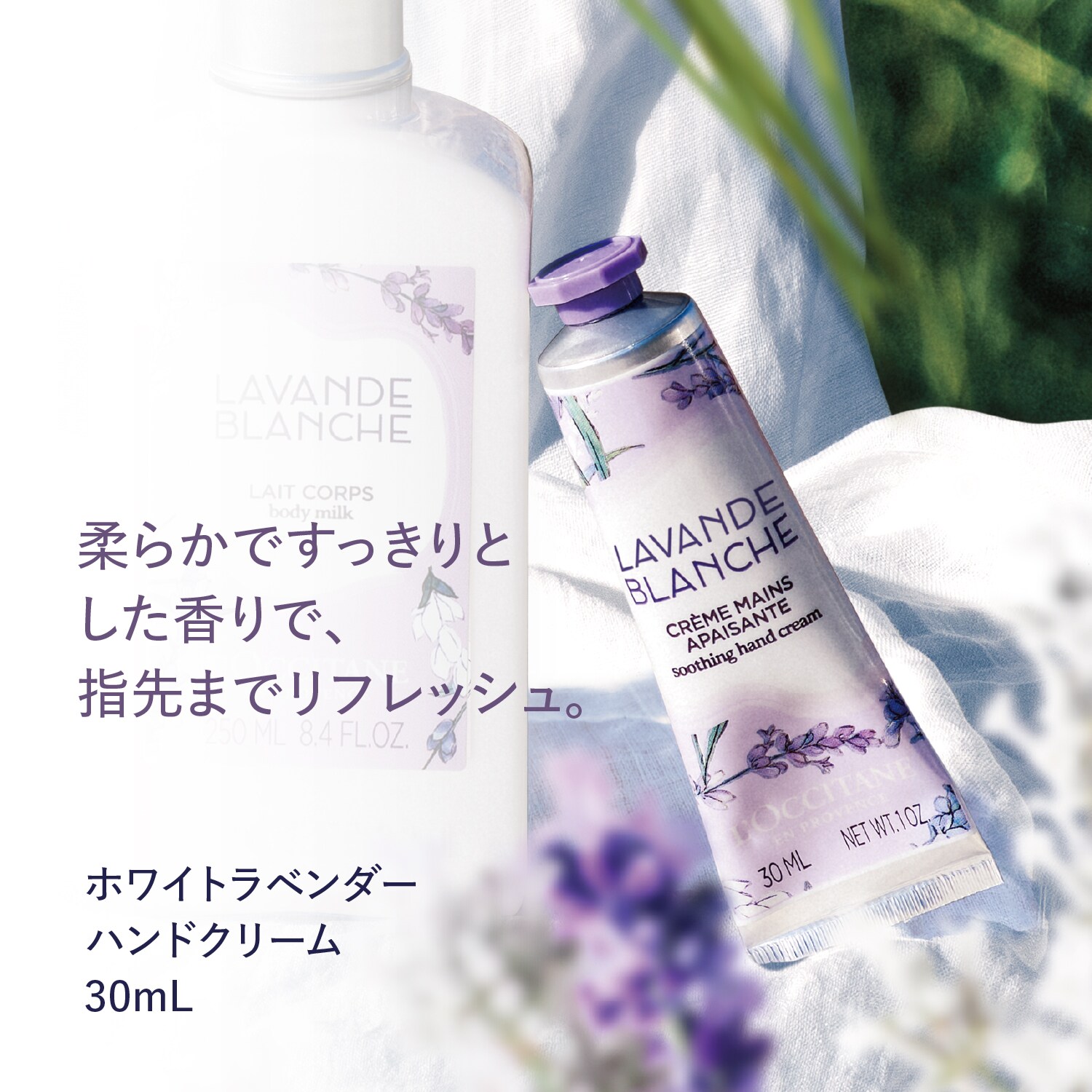 ドテラ ラベンダー5ml 金箔入りミネラルオイル 30ml プレゼント