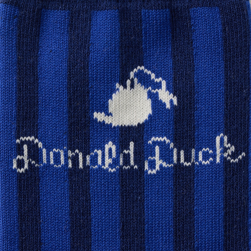 ドナルドダック