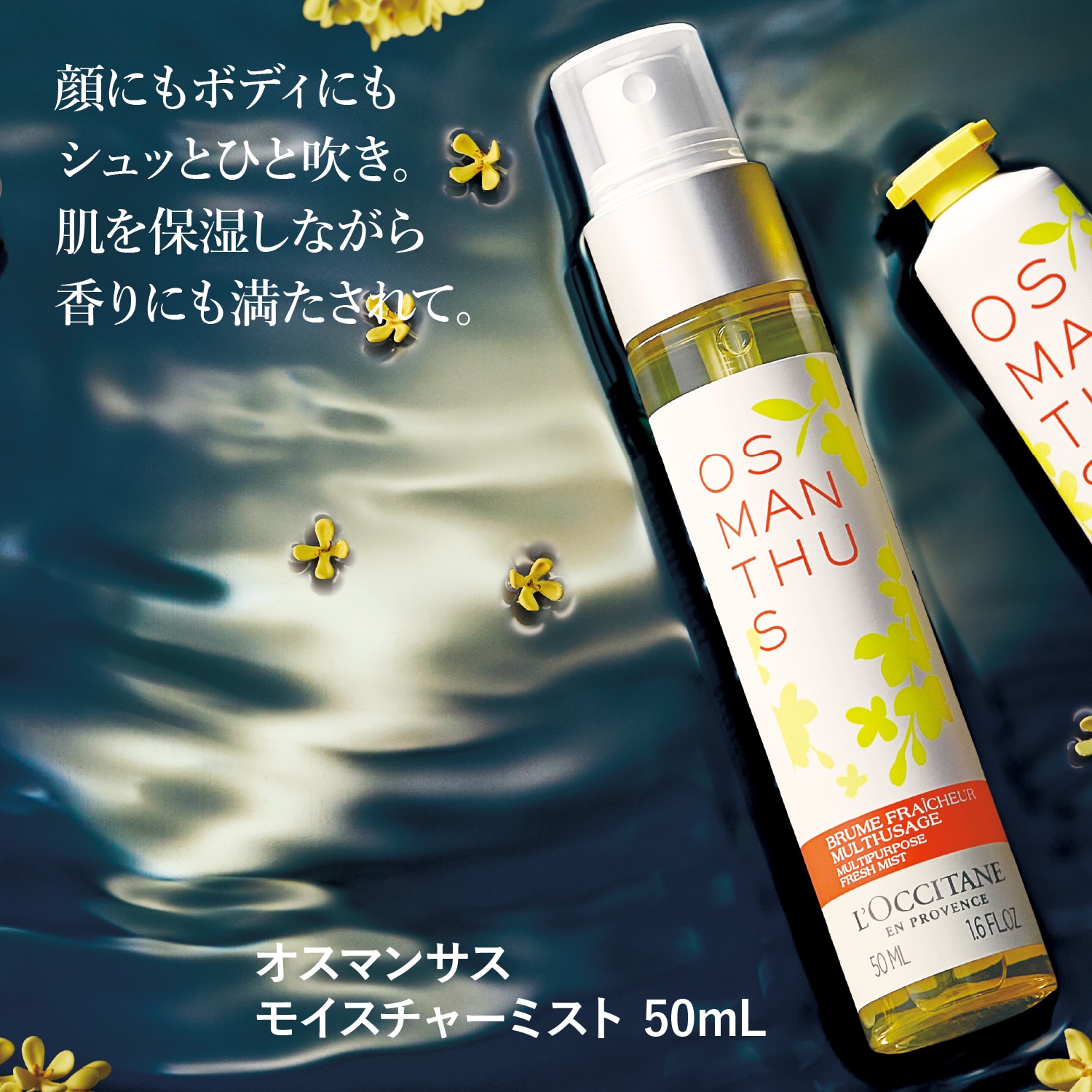 ボックス入り】オスマンサス コンプリート(ロクシタン/L'OCCITANE ...