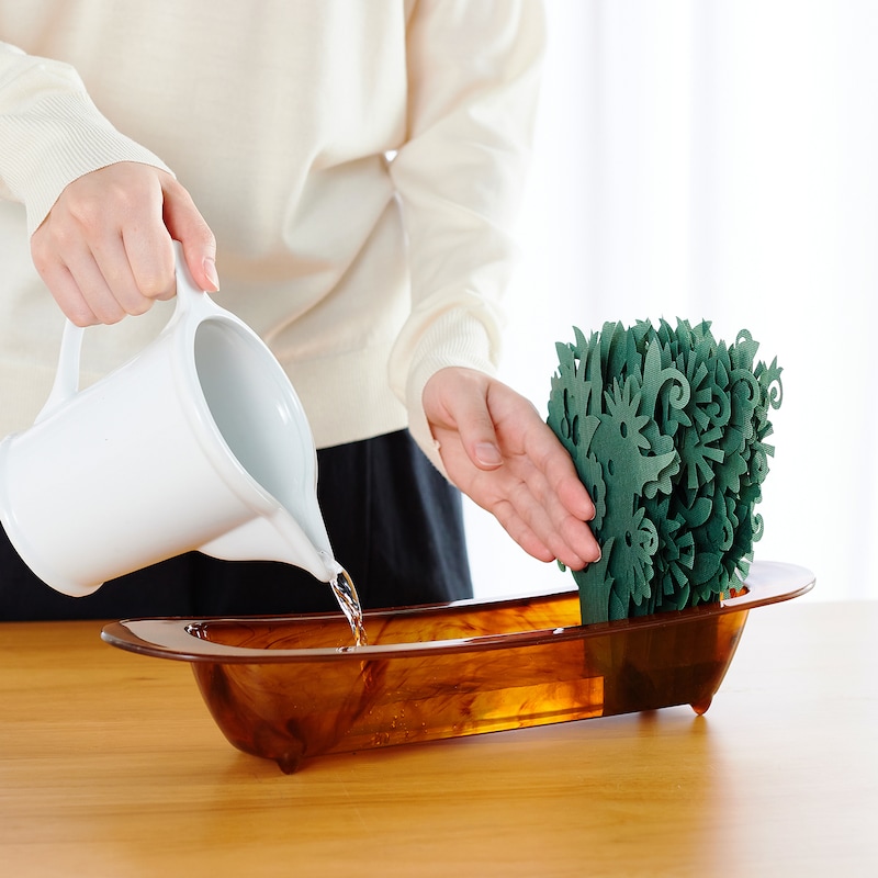 水を灌ぐだけ