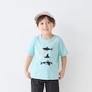 アクアグリーン（海の生き物）名札ココフェルトなし