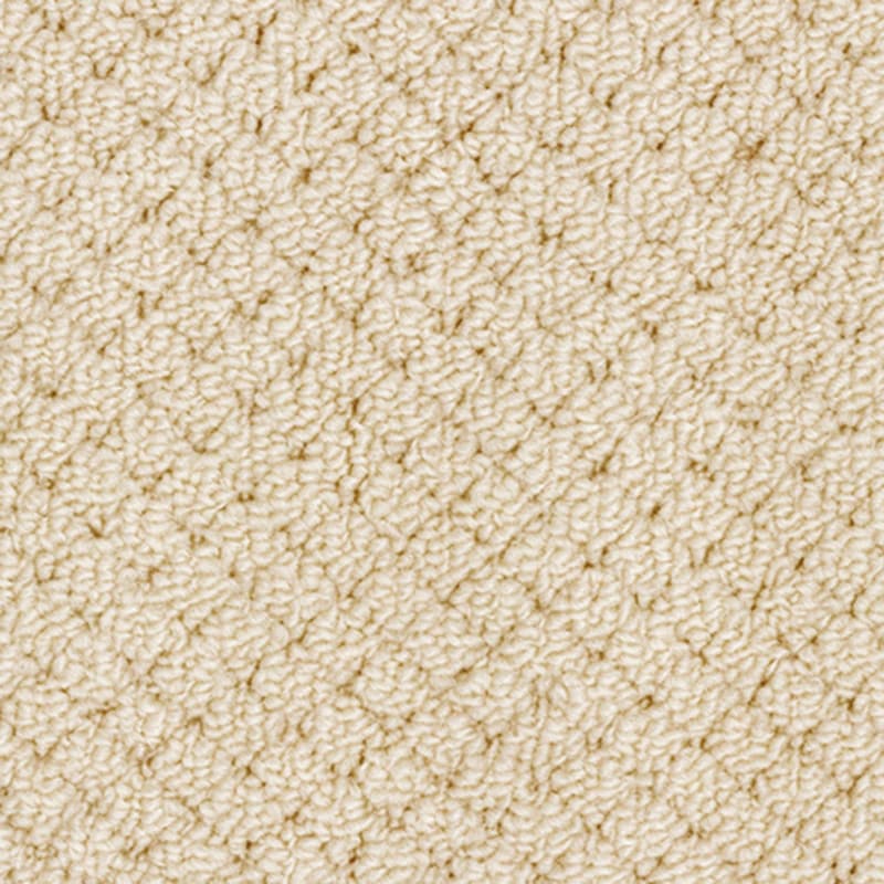 生地アップ／アイボリー