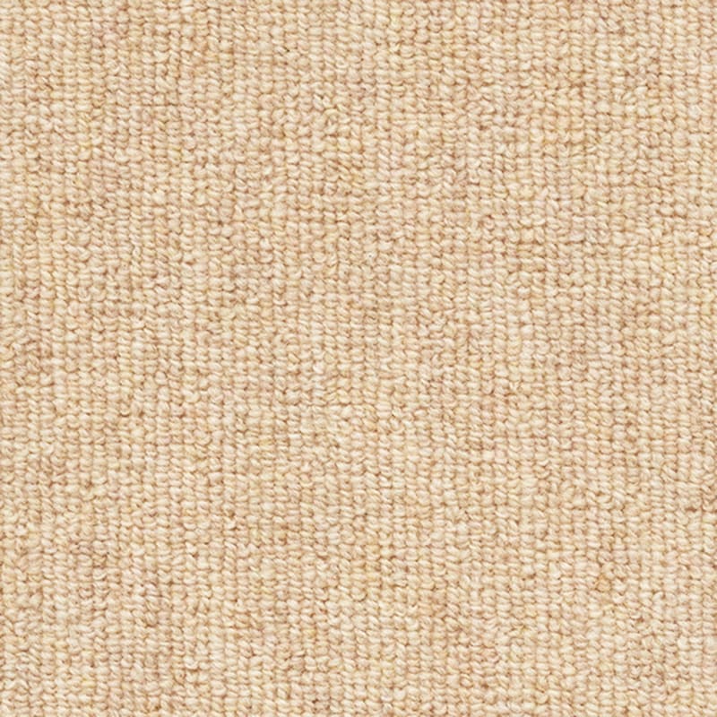 生地アップ／アイボリー