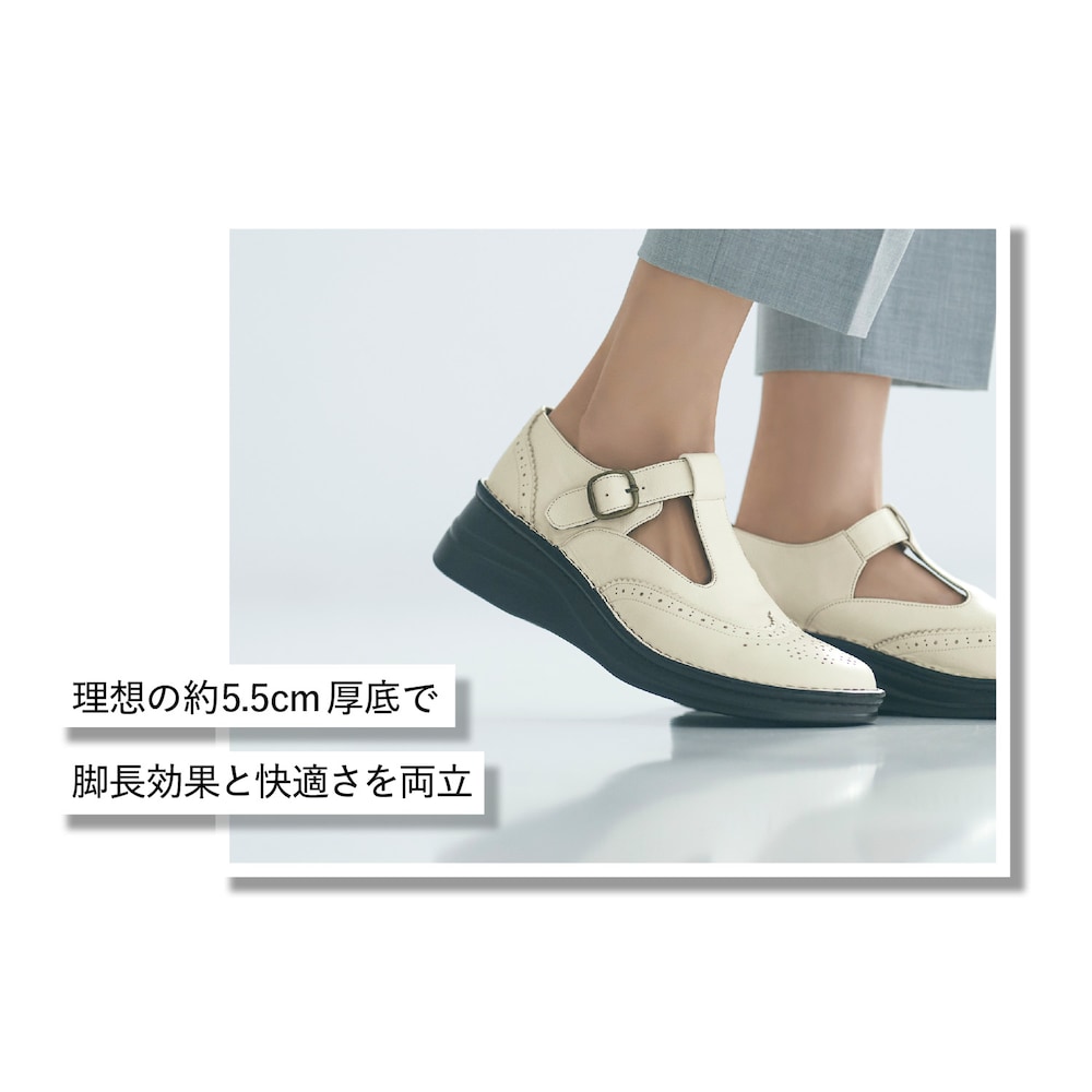 着用：ホワイト