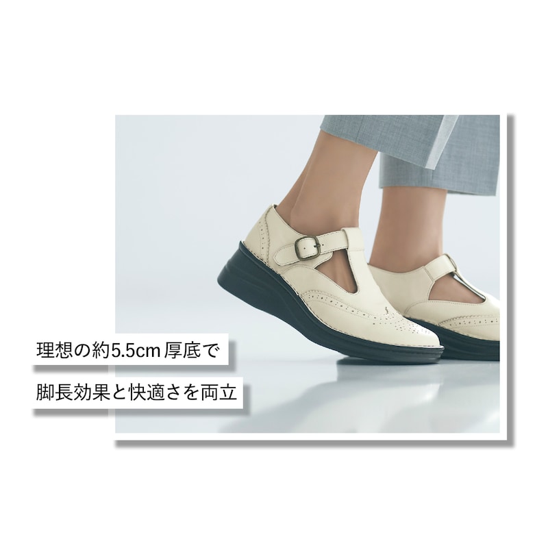着用：ホワイト
