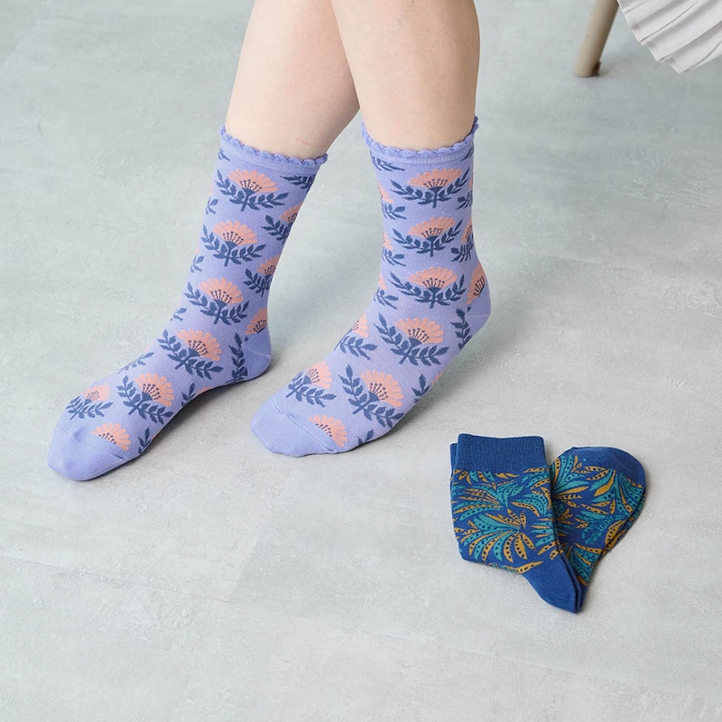 自由な旅行＆アロエ