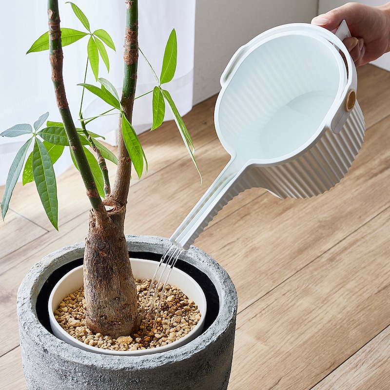 1.5Lは家の中の観葉植物などの水やりに便利なサイズです
