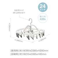24ピンチ