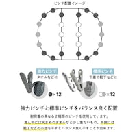 24ピンチ