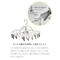 24ピンチ