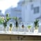 ガラスの花器 【水耕栽培にも】