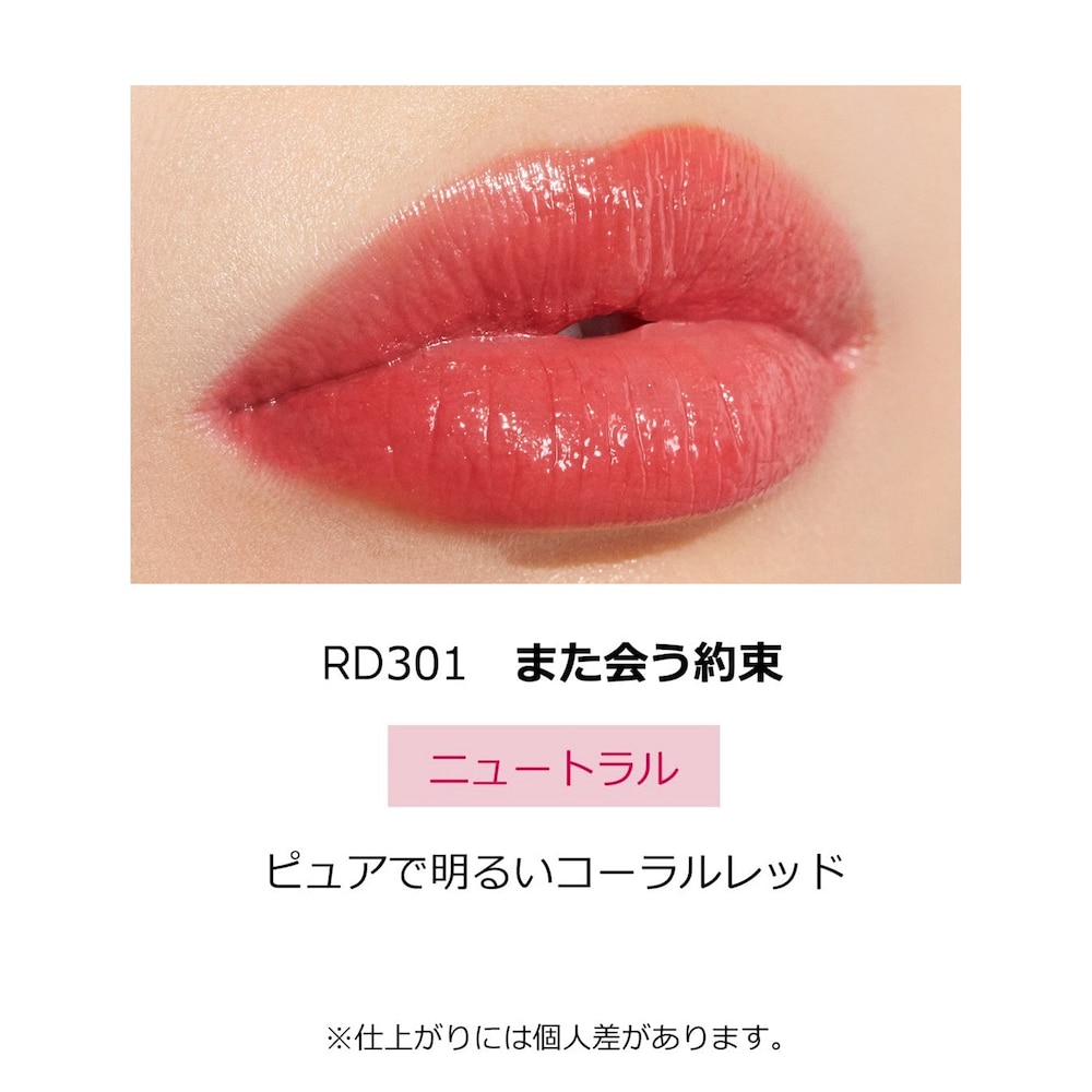 ＲＤ３０１
