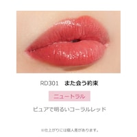ＲＤ３０１