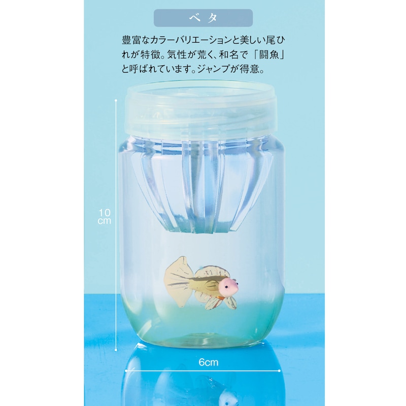 ベタ