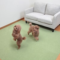 ペットが走り回ってもずれにくい