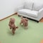 ペットが走り回ってもずれにくい