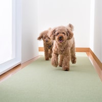 ペットが走り回ってもずれにくい