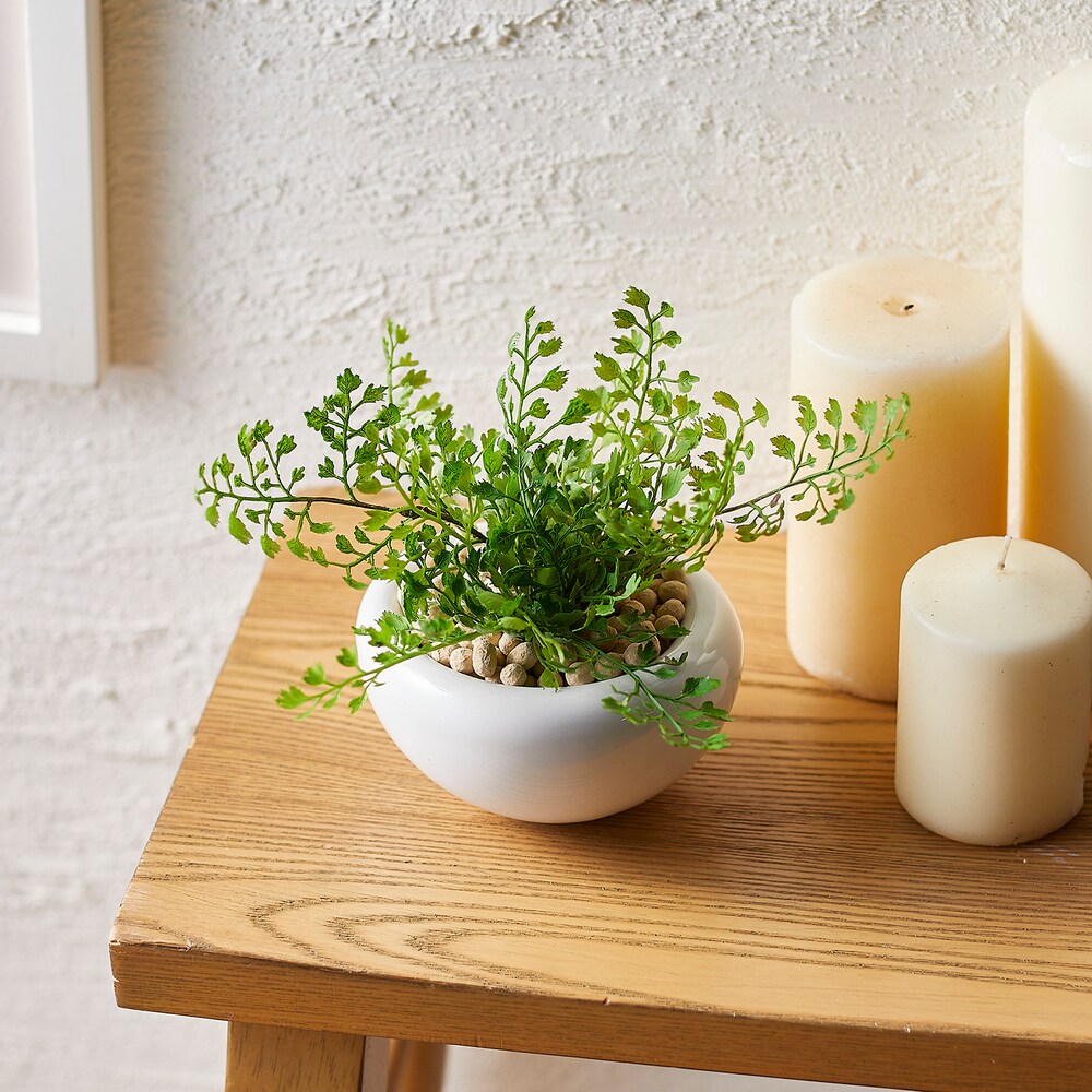 【ベルメゾン】アジアンタム 白陶器S 観葉植物 フェイクグリーン