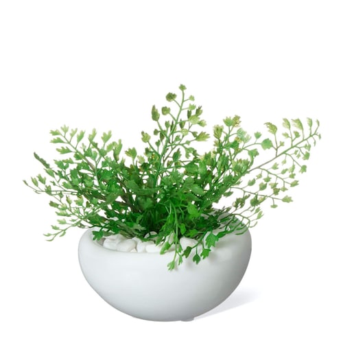 アジアンタム 白陶器S 観葉植物 フェイクグリーン