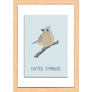 Ｔｕｆｔｅｄ　Ｔｉｔｍｏｕｓｅ