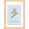 Ｔｕｆｔｅｄ　Ｔｉｔｍｏｕｓｅ