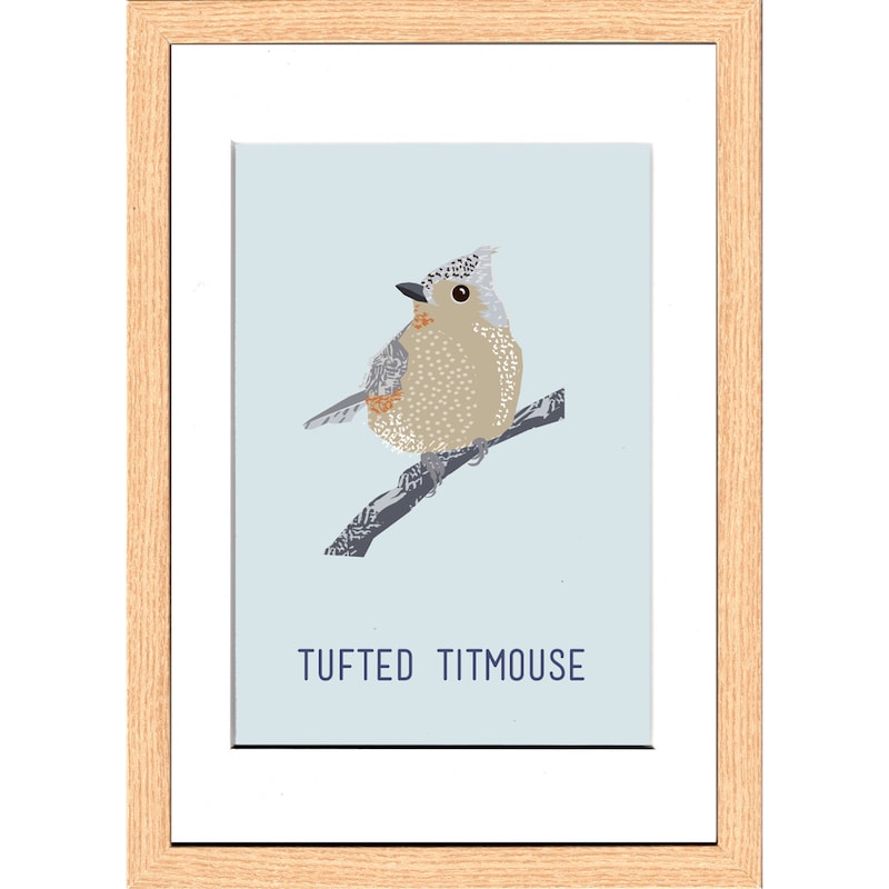 Ｔｕｆｔｅｄ　Ｔｉｔｍｏｕｓｅ