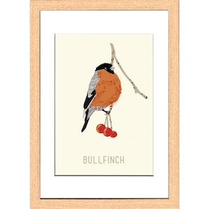 Ｂｕｌｌｆｉｎｃｈ