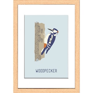 Ｗｏｏｄｐｅｃｋｅｒ