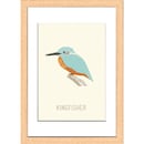Ｋｉｎｇｆｉｓｈｅｒ