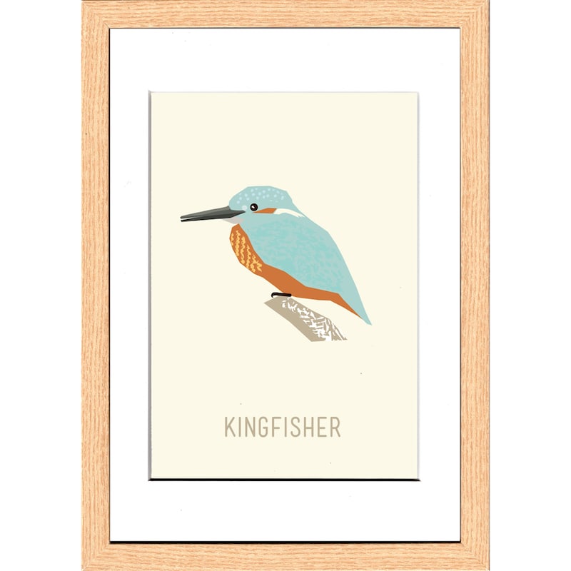 Ｋｉｎｇｆｉｓｈｅｒ