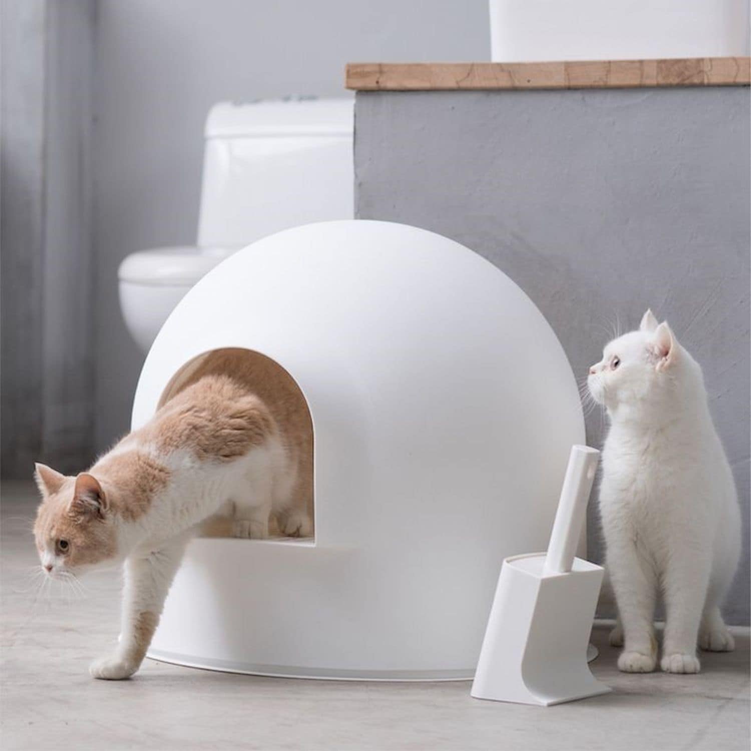 スノードームモチーフのネコ用トイレ【トイレスコップ付き】 ＜pidan 