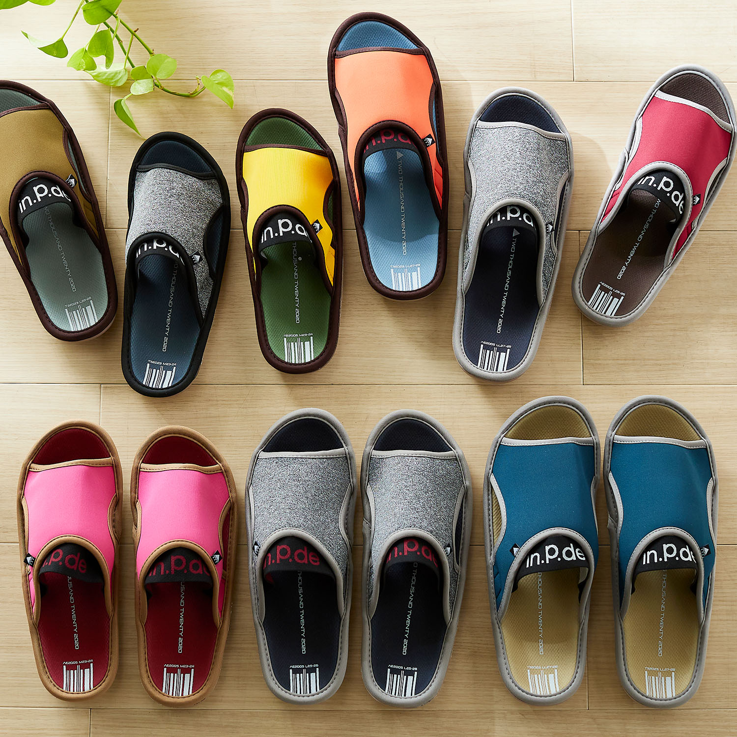 【ベルメゾン】足裏のストレッチ効果が期待できるフィットスリッパ(TTT) 【ベルメゾン】足裏のストレッチ効果が期待できるフィットスリッパ(TTT)