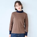 ブラウンボーダー