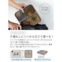 お弁当箱/800ml