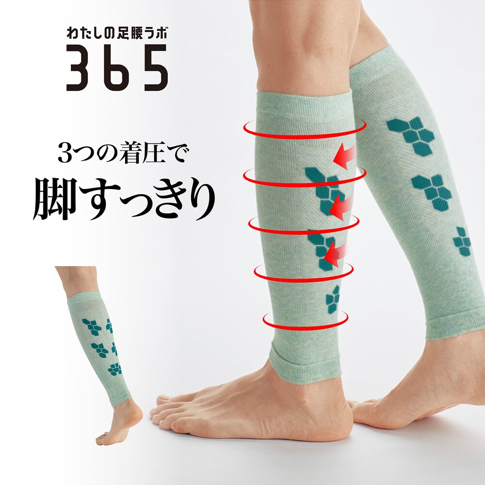 ふくらはぎに刺激を与えて筋肉をケアバックプレス構造でふくらはぎをプッシュポイント着圧で腓腹筋、ヒラメ筋をプッシュ段階着圧設計でキュッと引き締めケア肌にフィットしても心地良い綿混素材身生地には植物由来の