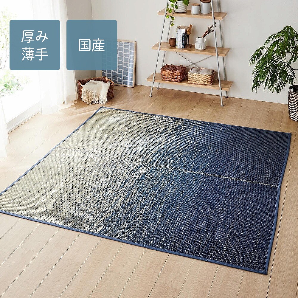 【ベルメゾン】グラデーション柄のい草ラグ(裏張り)