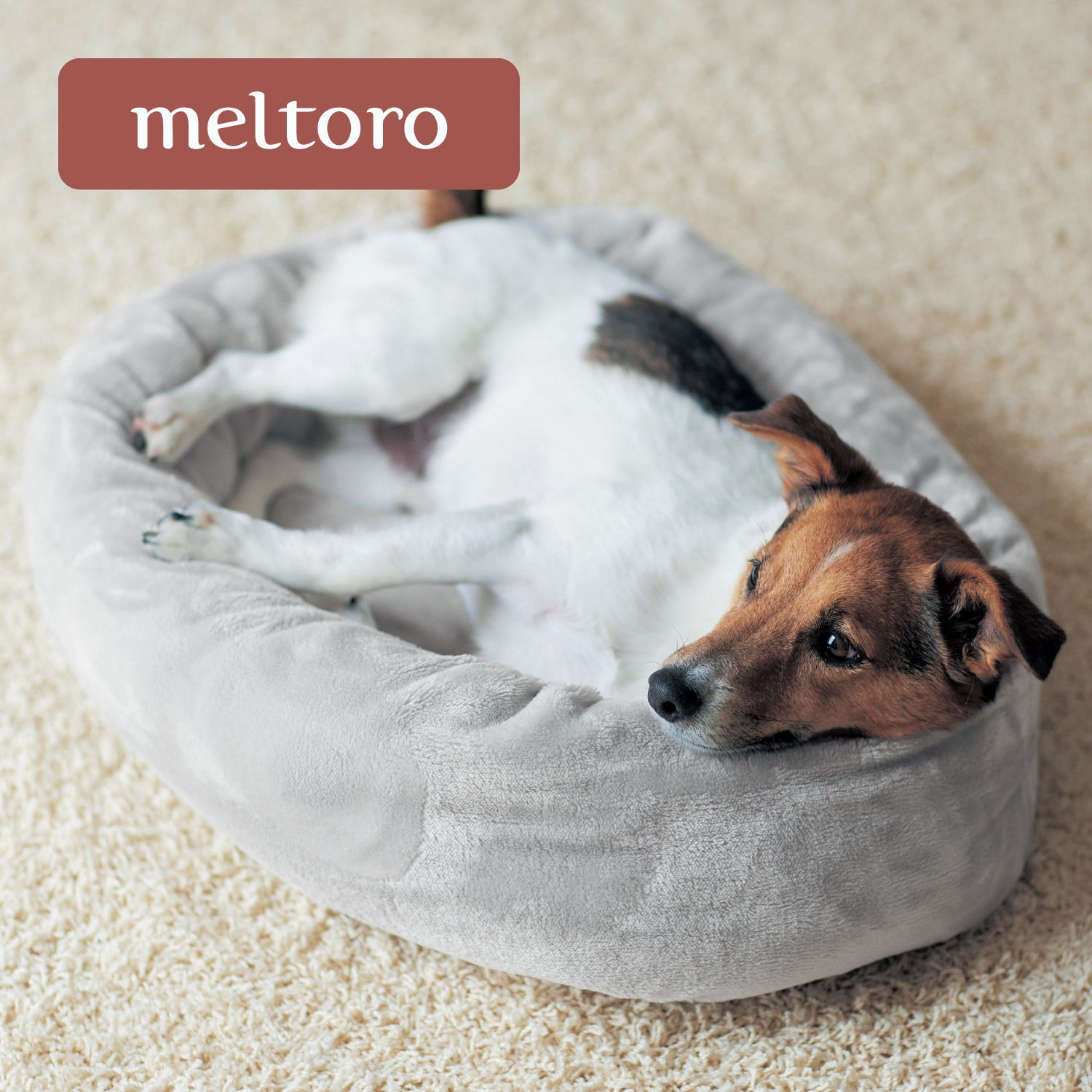 あったかなめらかなペットベッド 【幸せホルモンが出る肌触り】(メルトロ/meltoro) あったかなめらかなペットベッド 【幸せホルモンが出る肌触り】(メルトロ/meltoro)