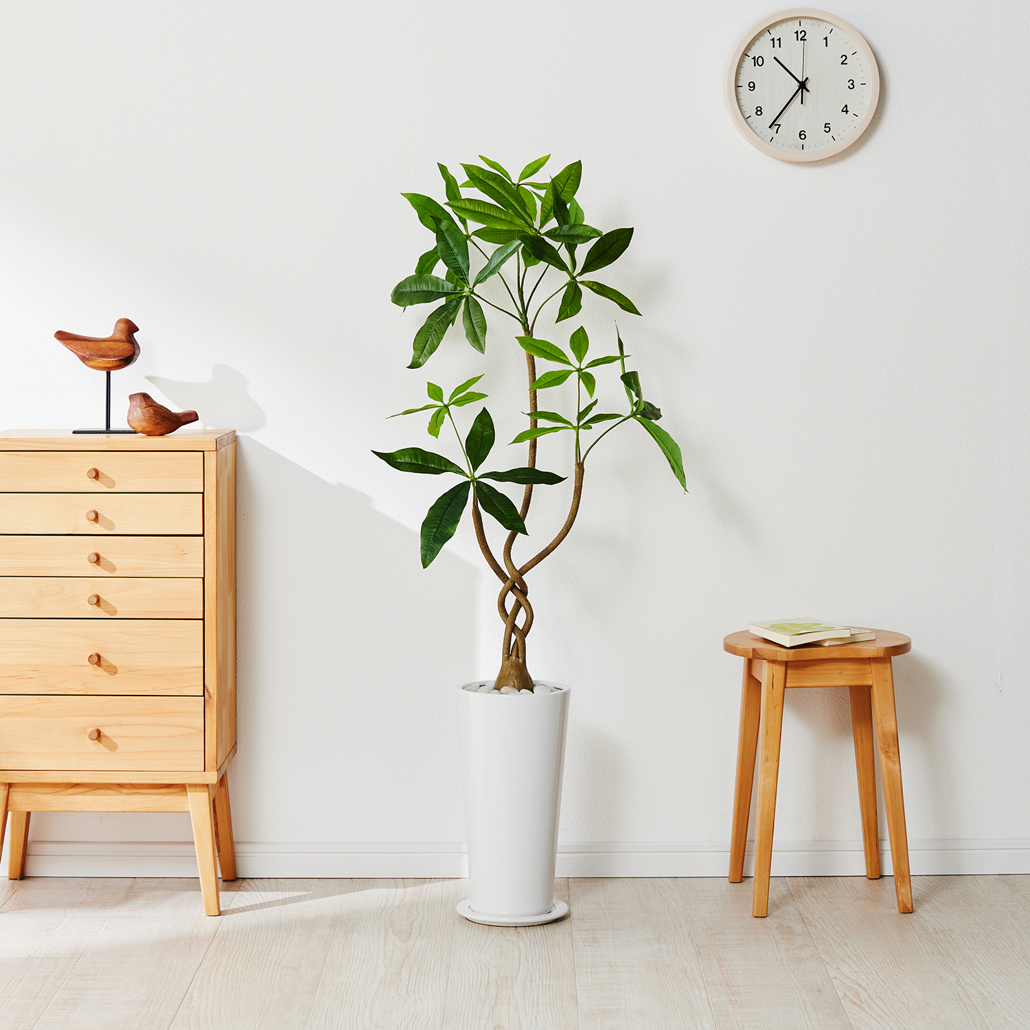 【ベルメゾン】スリムな陶器プランター入りフェイクグリーン「ツイストパキラ」 【ベルメゾン】スリムな陶器プランター入りフェイクグリーン「ツイストパキラ」