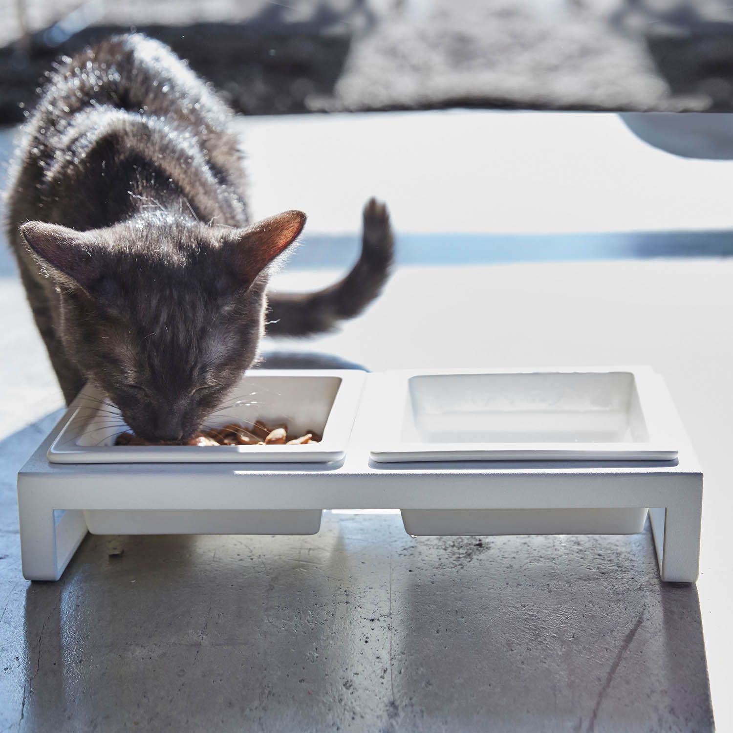 ペットフードボウルスタンドセット <レギュラー/トール>(タワー/tower) ペットフードボウルスタンドセット <レギュラー/トール>(タワー/tower)