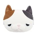 ゆず（三毛猫）