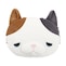 ゆず（三毛猫）